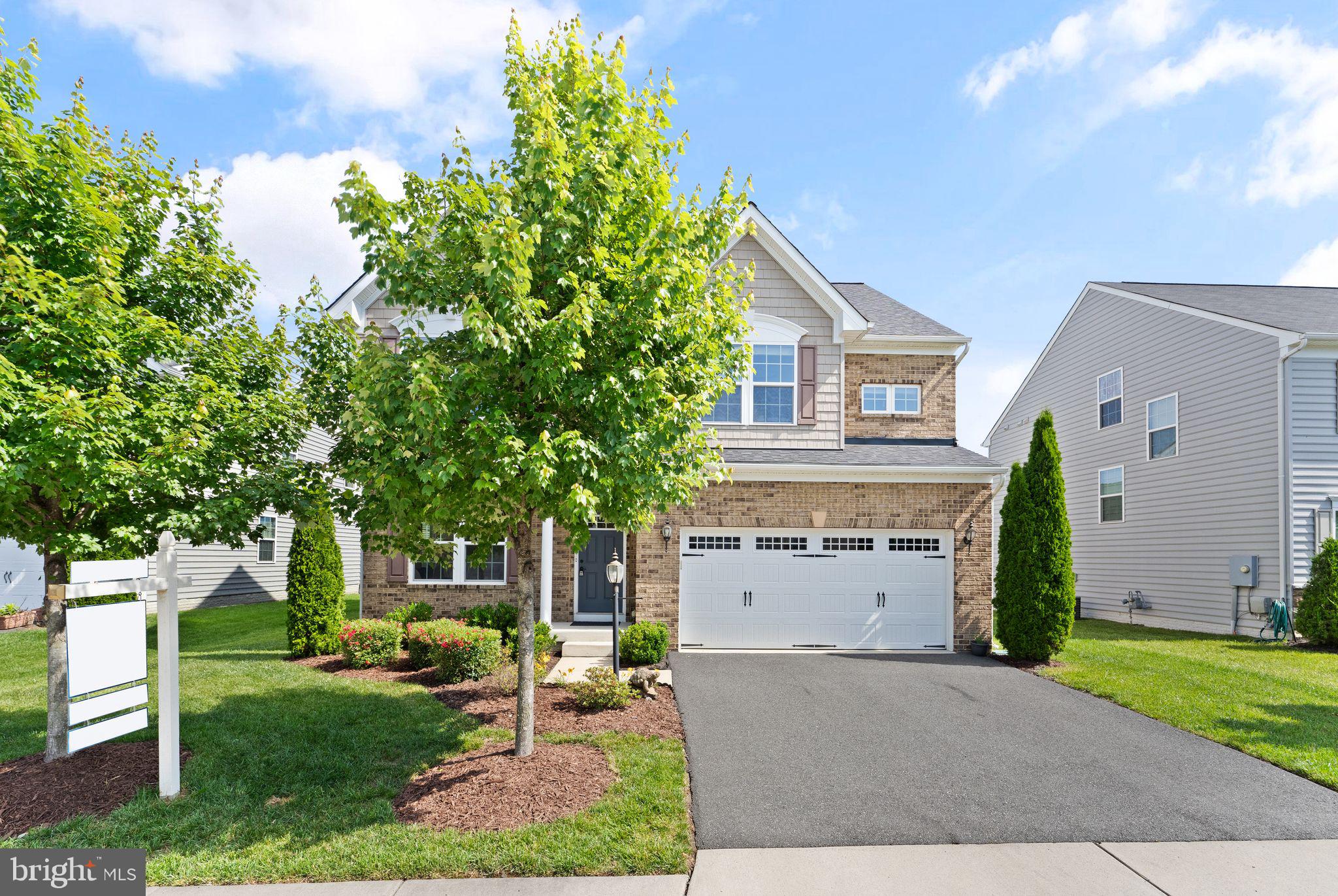 41460 LUCKY DRAW STREET