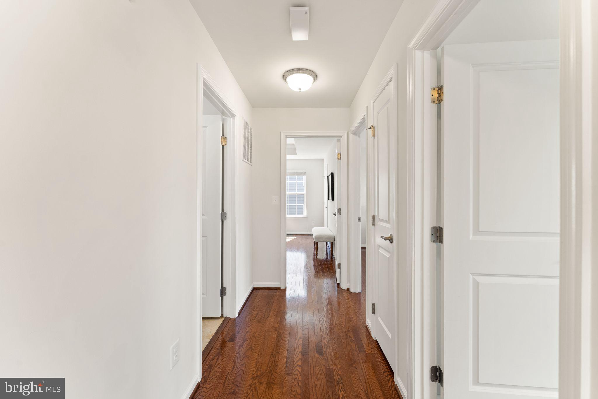 41460 LUCKY DRAW STREET