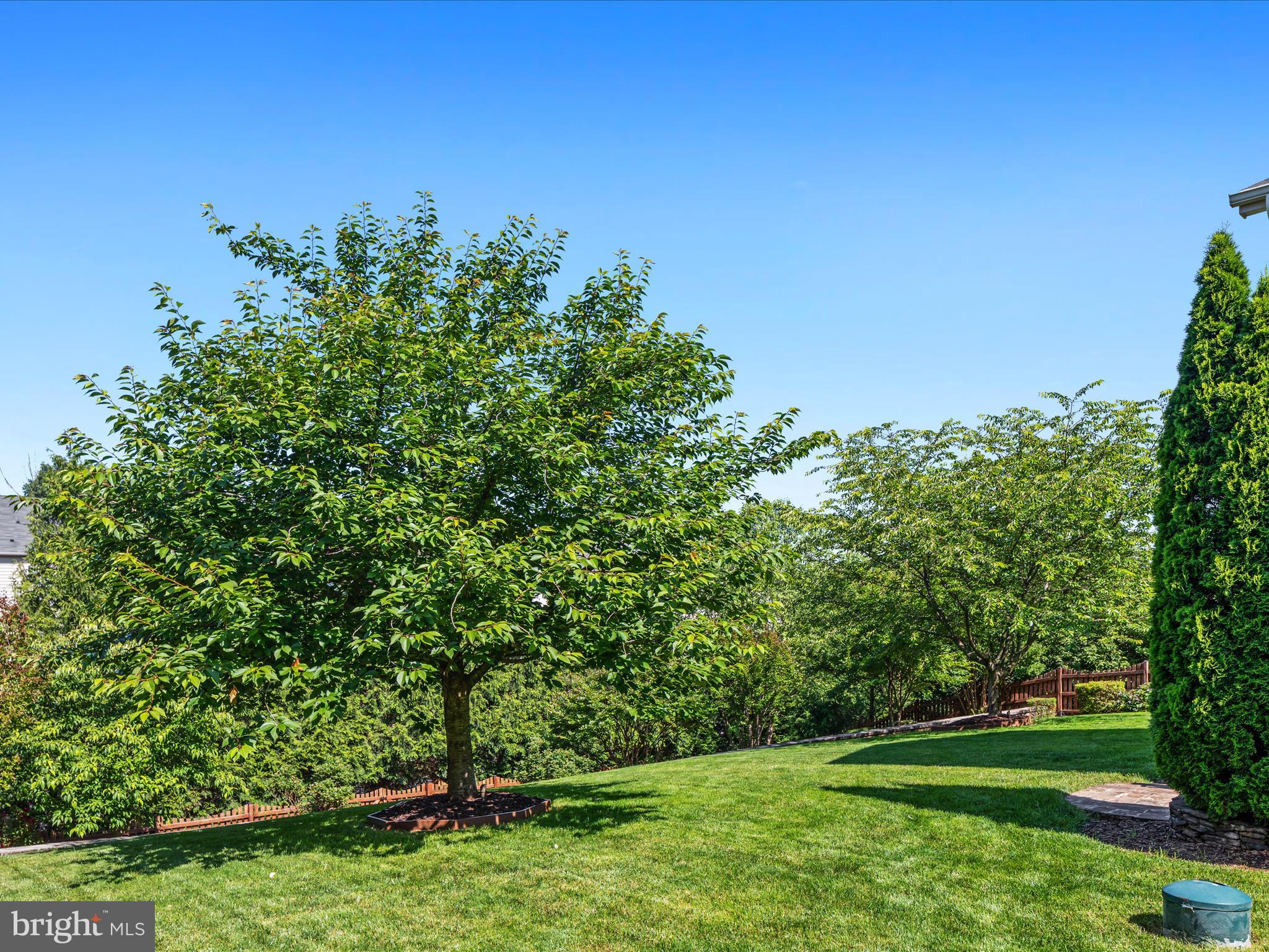 20975 HOODED CROW DRIVE