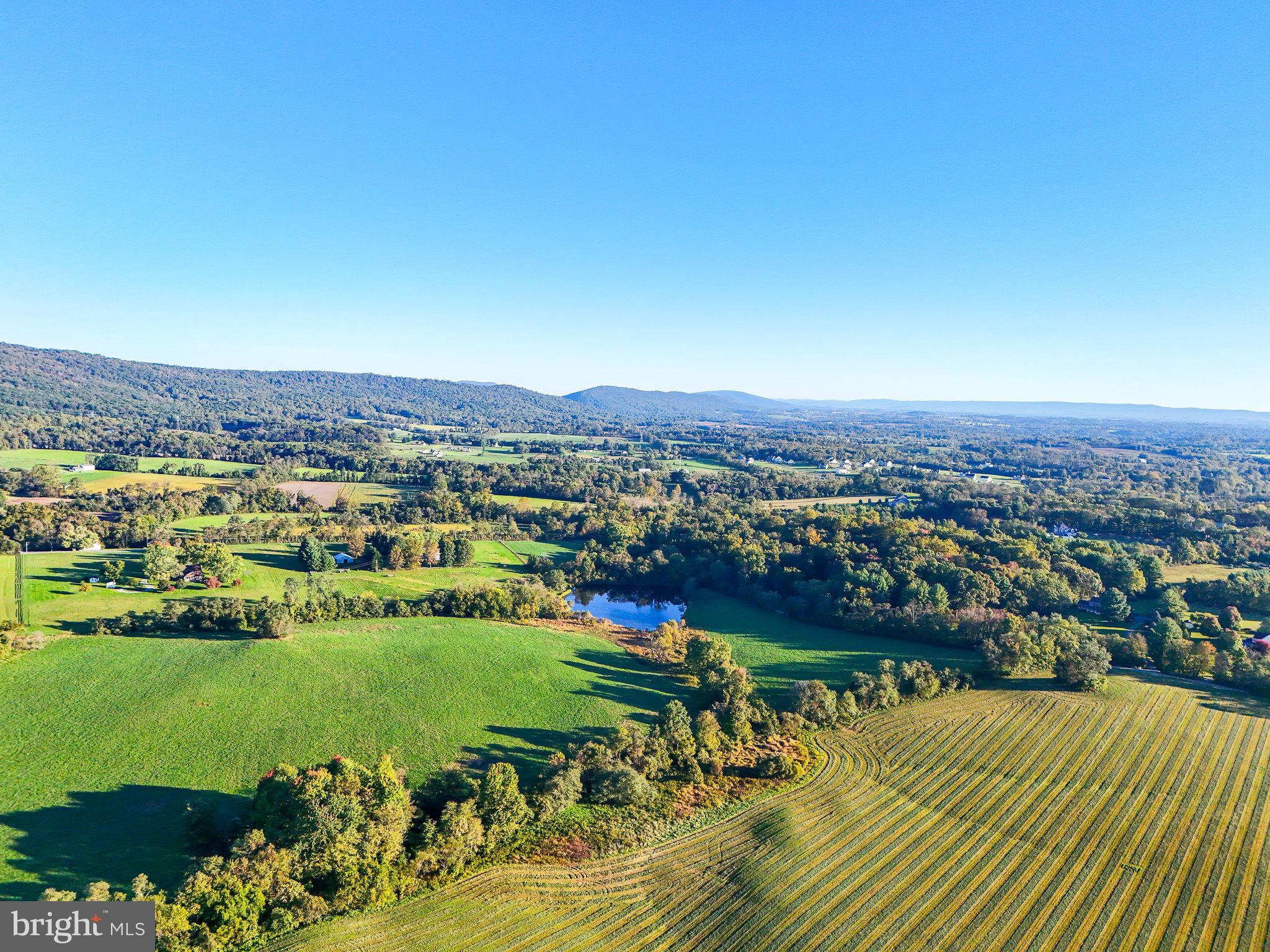 12428 MOUNTAIN ROAD