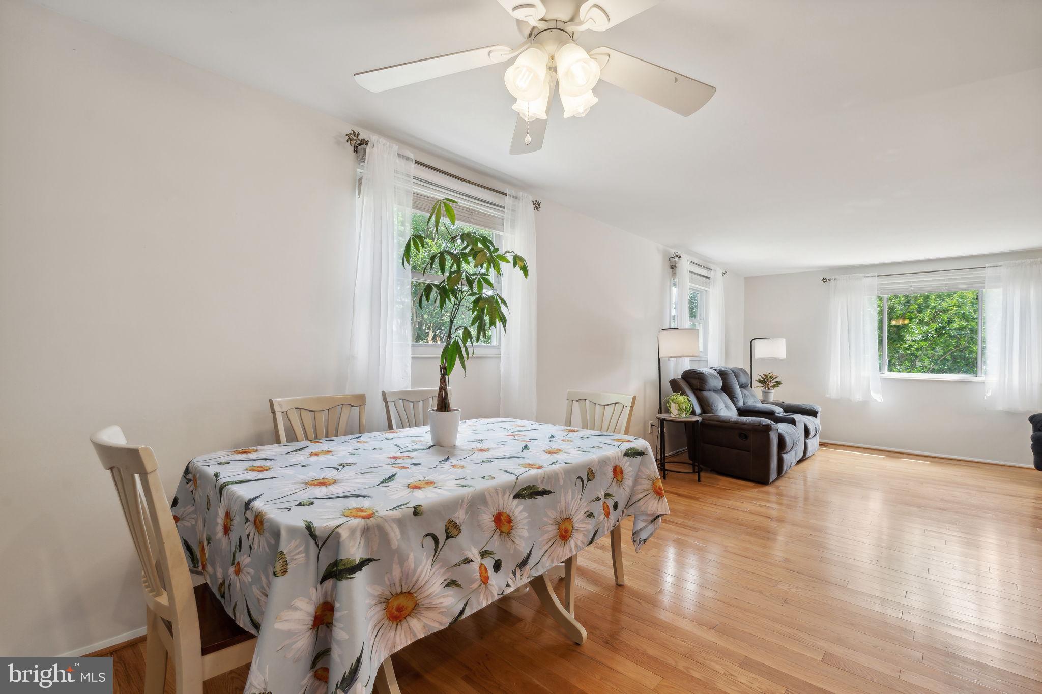 205 CHESTNUT COURT
