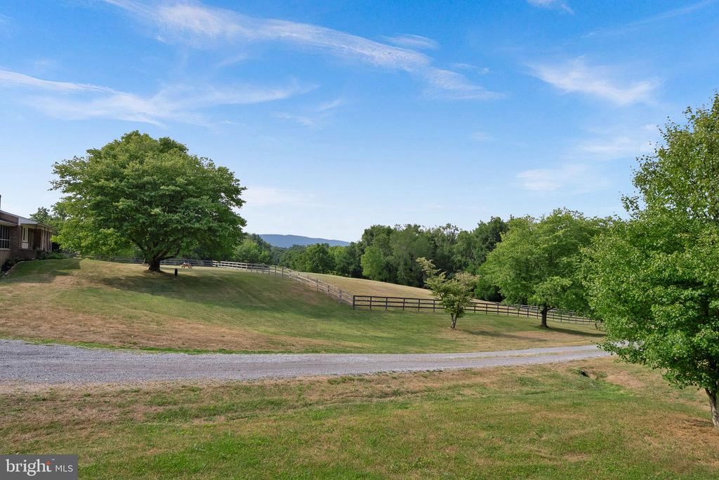 38599 RICHARD CREEK LANE