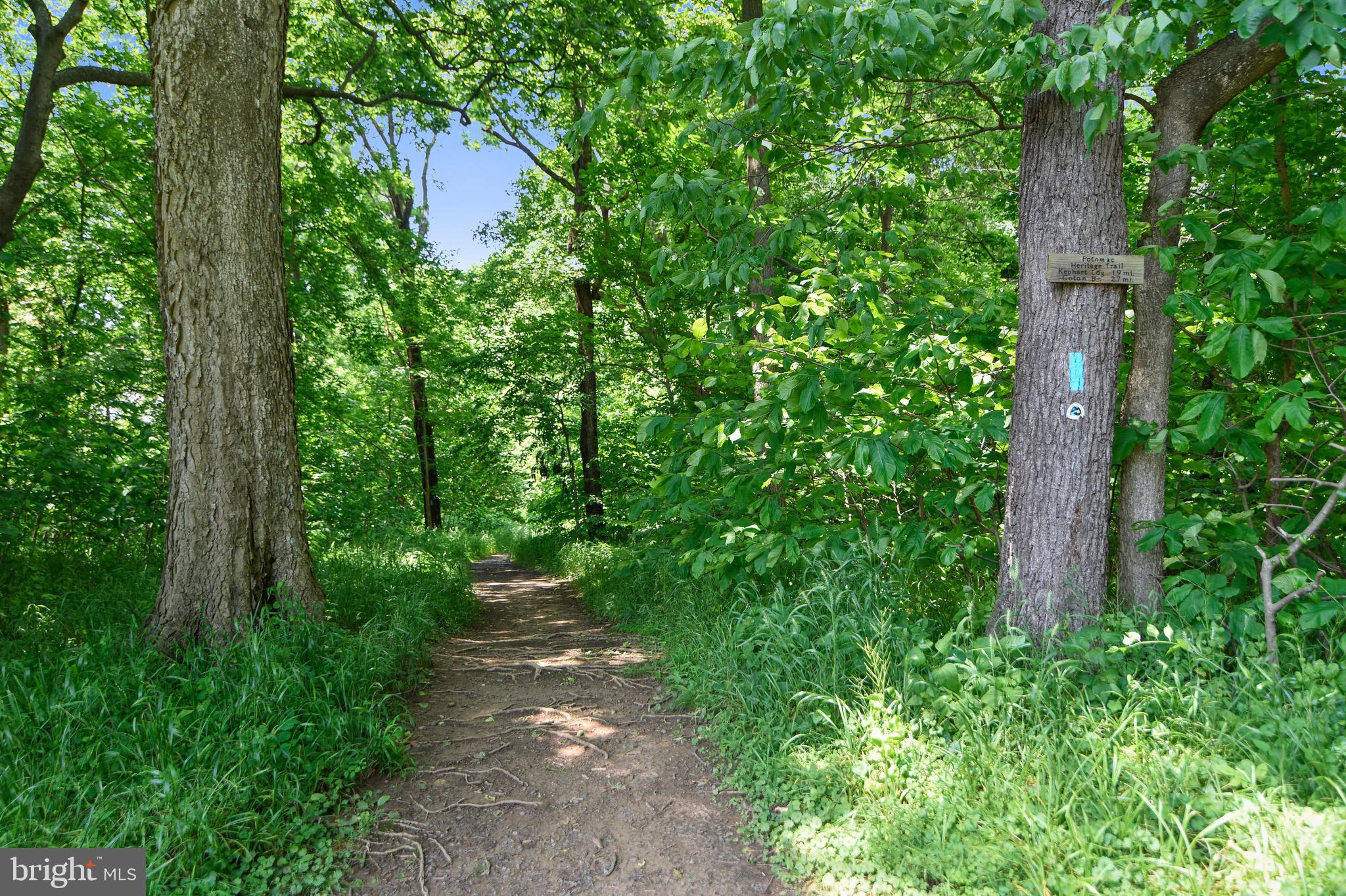 19271 MILL SITE PLACE
