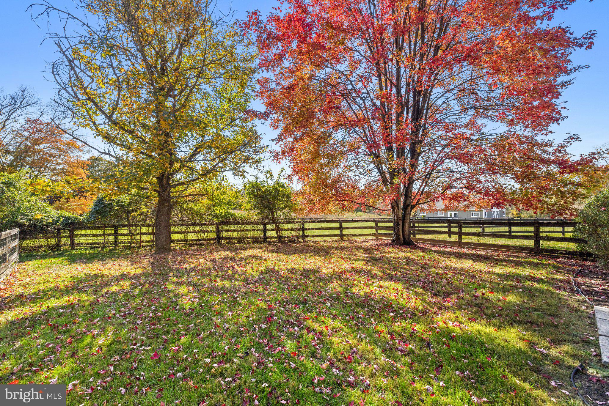 36643 LEITH LANE