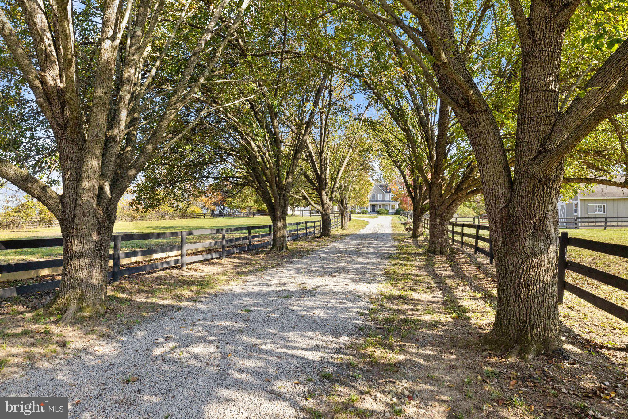 36643 LEITH LANE