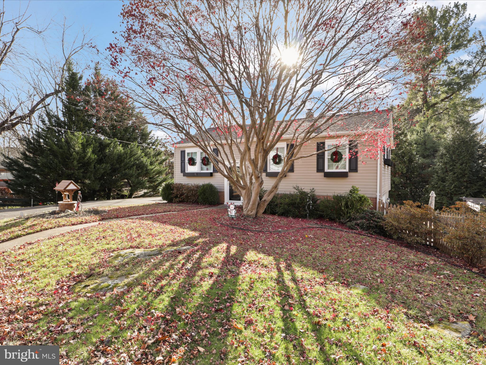 903 BLUE RIDGE AVENUE