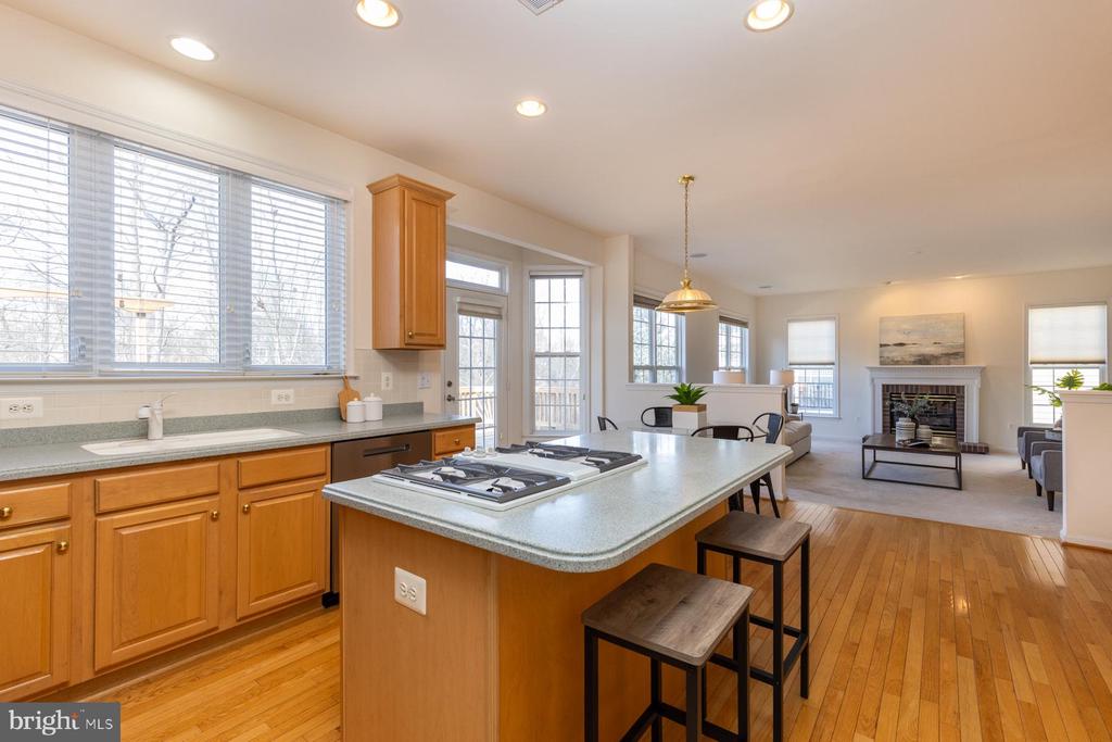 19013 PANTHER COURT