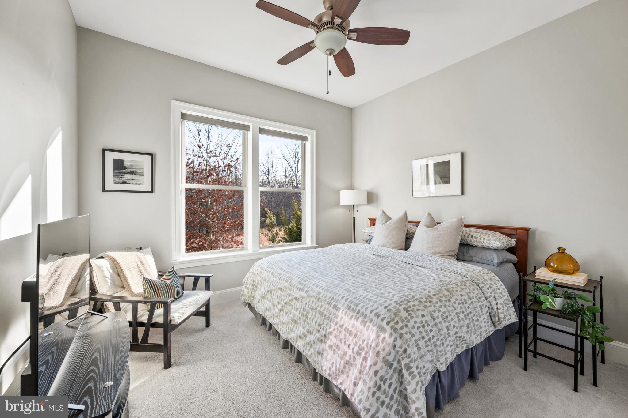 41633 WHITE YARROW COURT