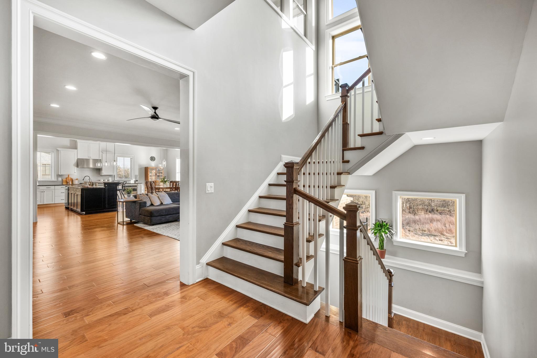 41633 WHITE YARROW COURT