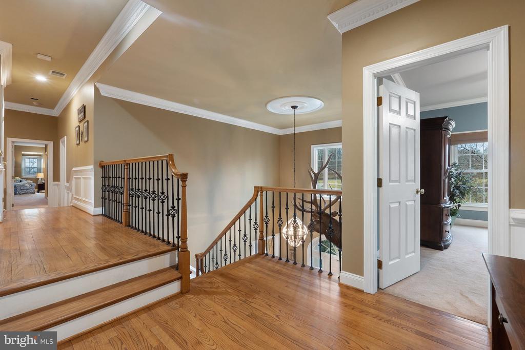 24117 GRAND ELLISON COURT