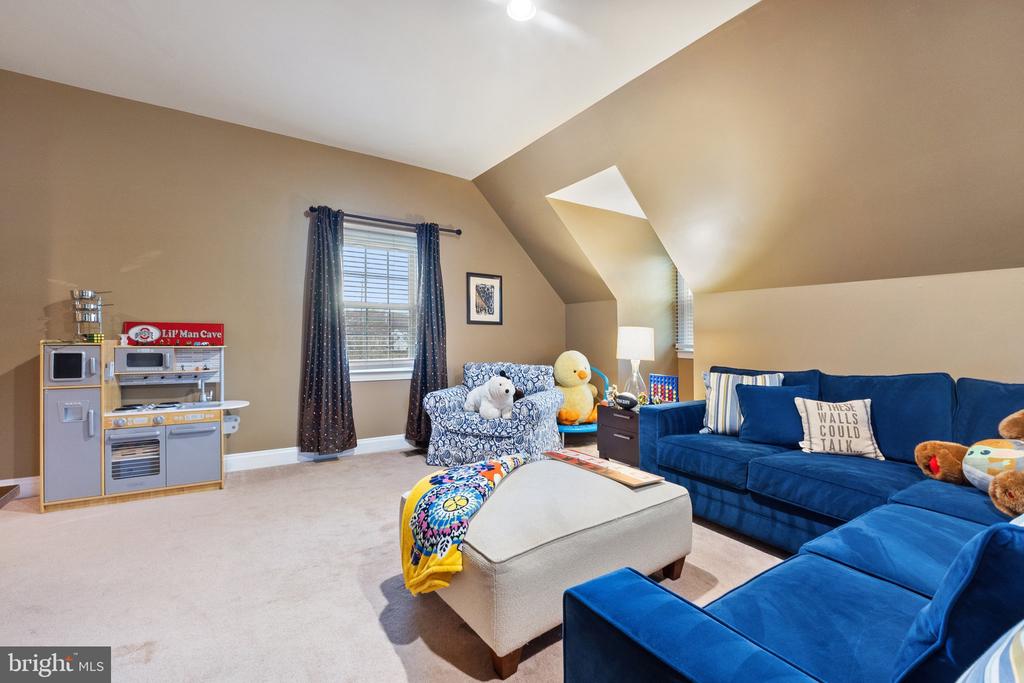 24117 GRAND ELLISON COURT