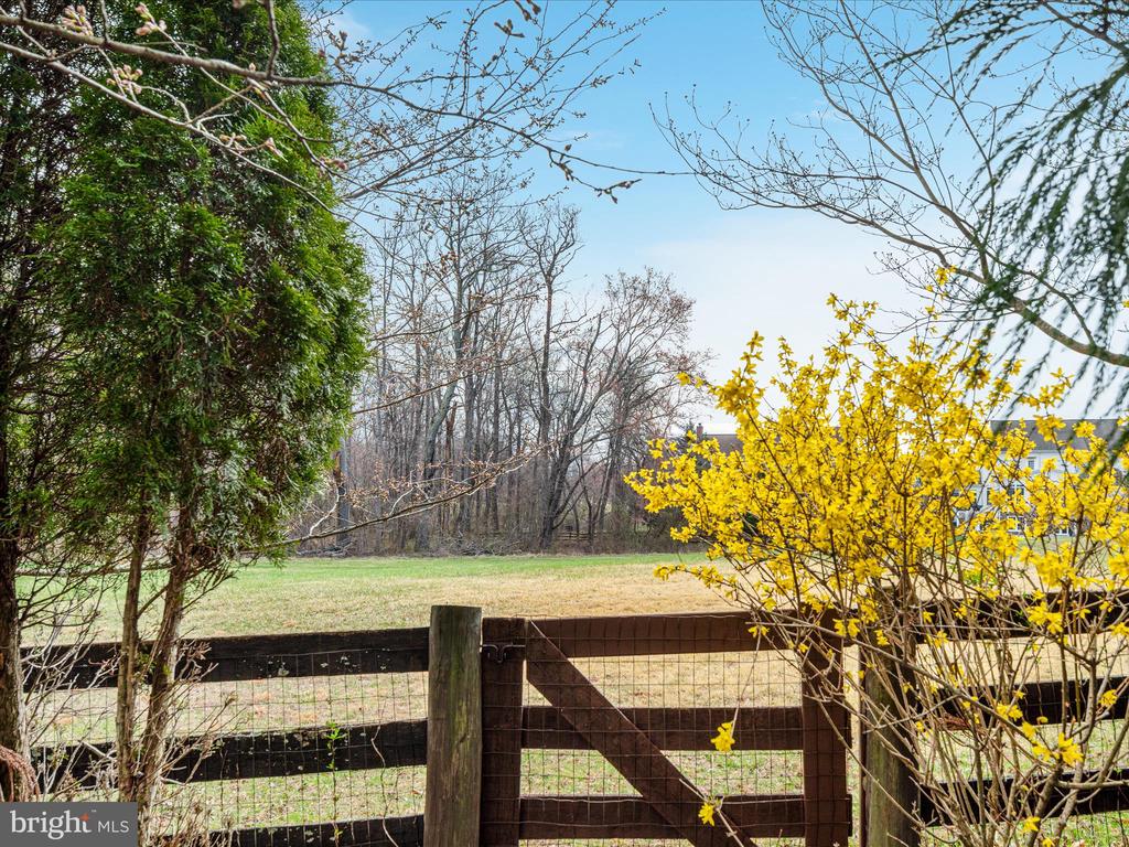 24124 HEATHER HILL PLACE