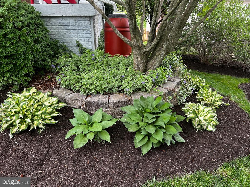 312 BILL BROWER COURT