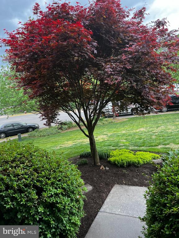 312 BILL BROWER COURT