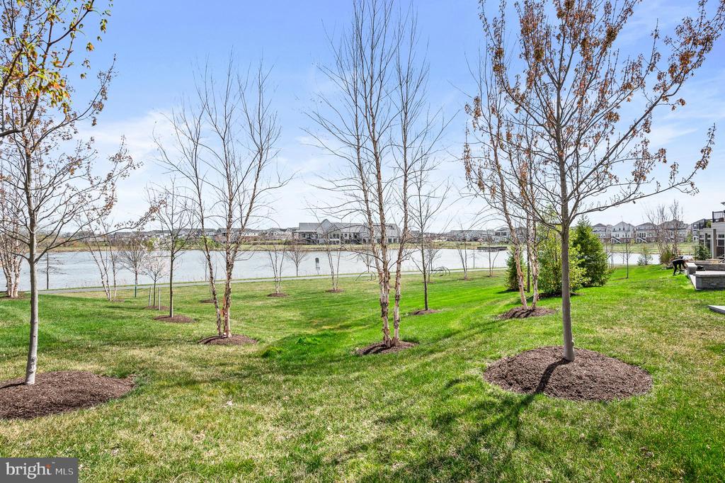 42791 MACBETH TERRACE