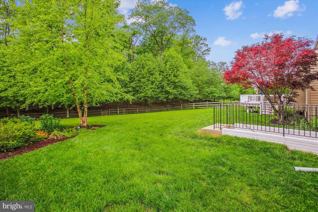 25501 TOMEY COURT
