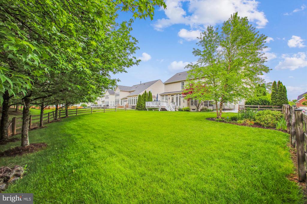25501 TOMEY COURT