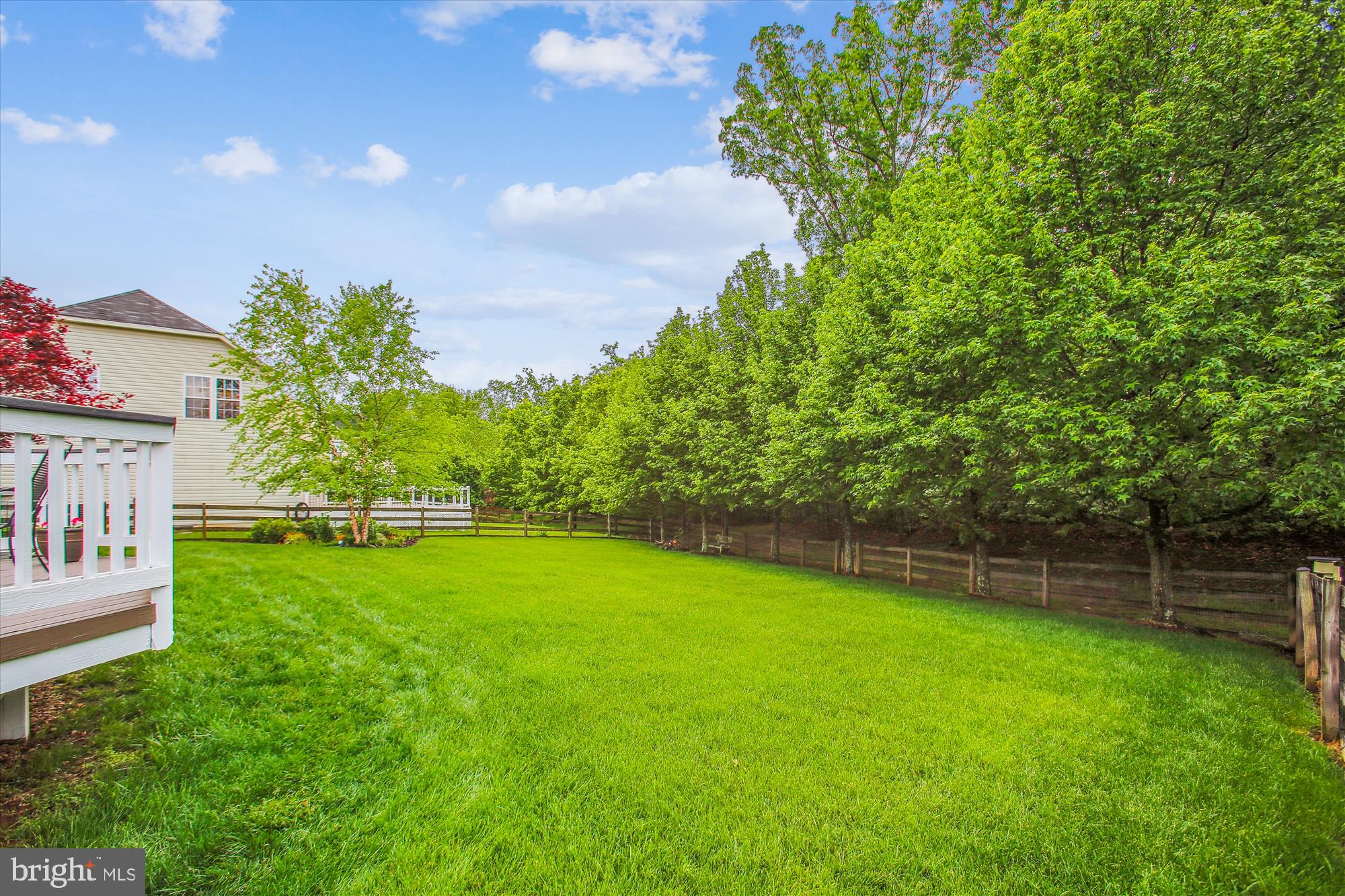 25501 TOMEY COURT
