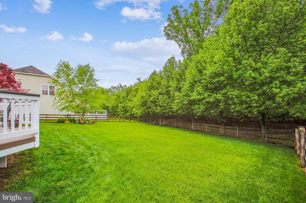 25501 TOMEY COURT