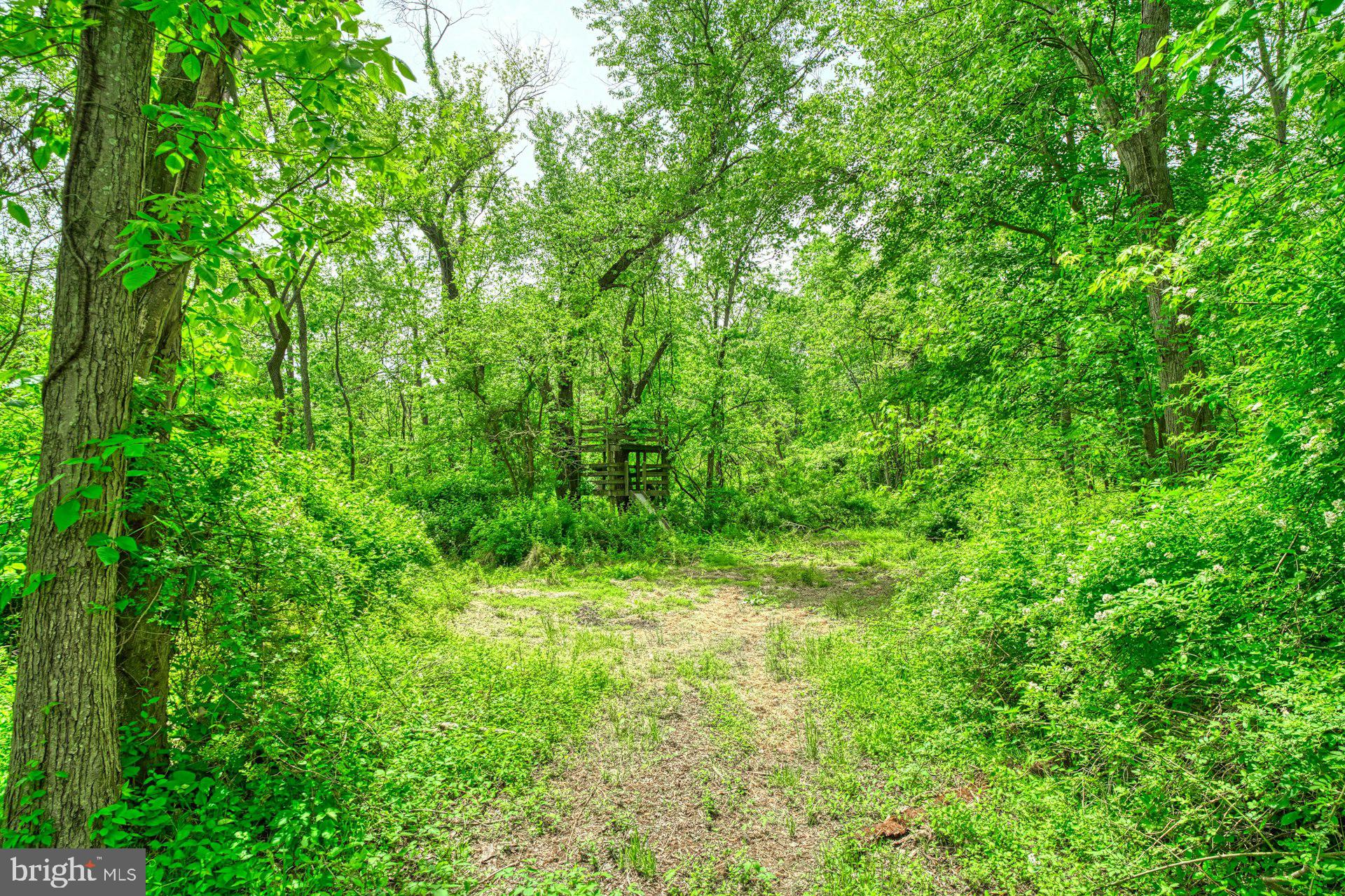 17045 HAMILTON STATION ROAD