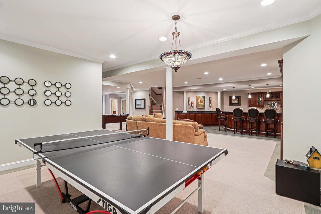 20369 STILLHOUSE BRANCH PLACE