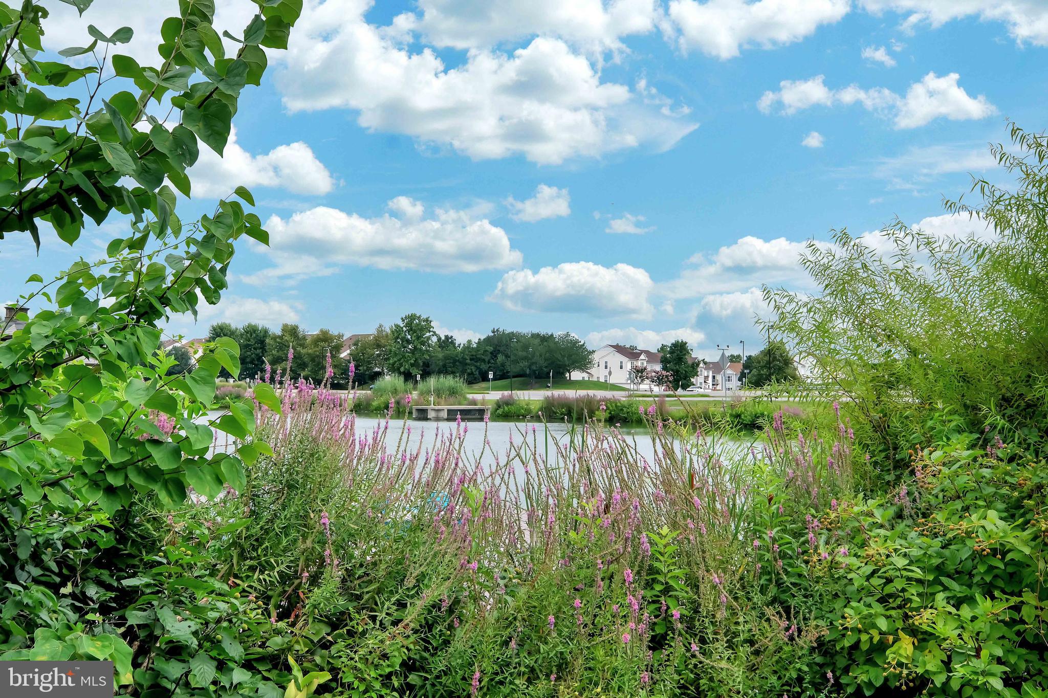 20489 COOL FERN SQUARE