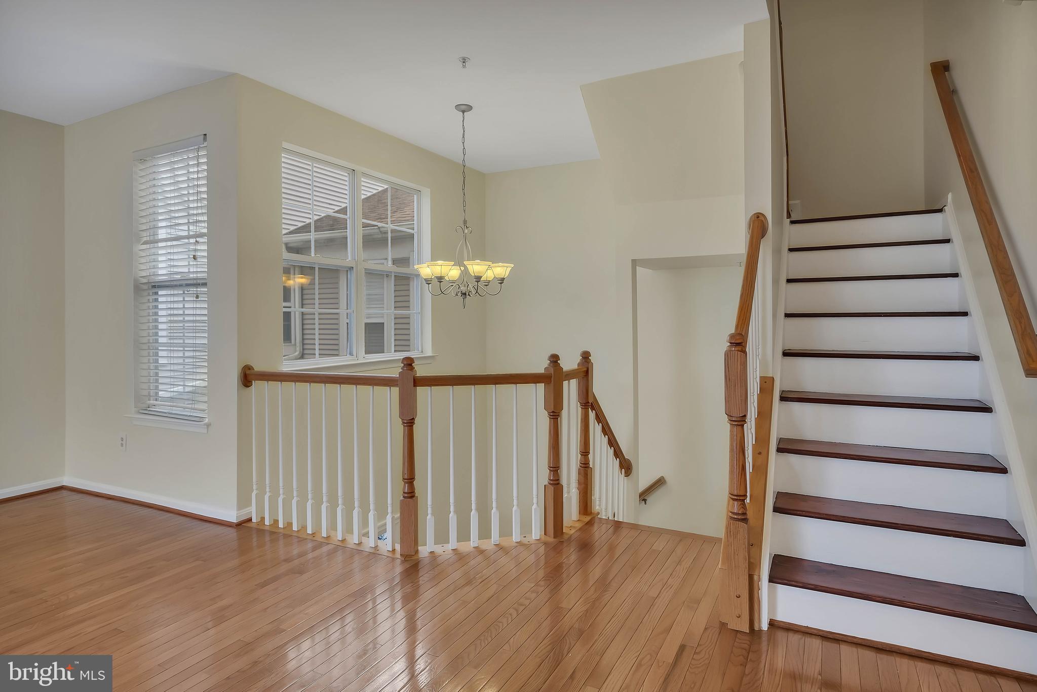 20489 COOL FERN SQUARE