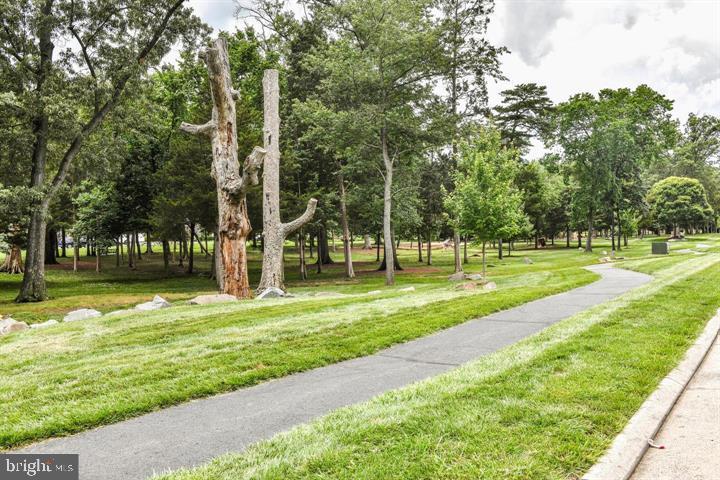 42539 MAYFLOWER TERRACE 204