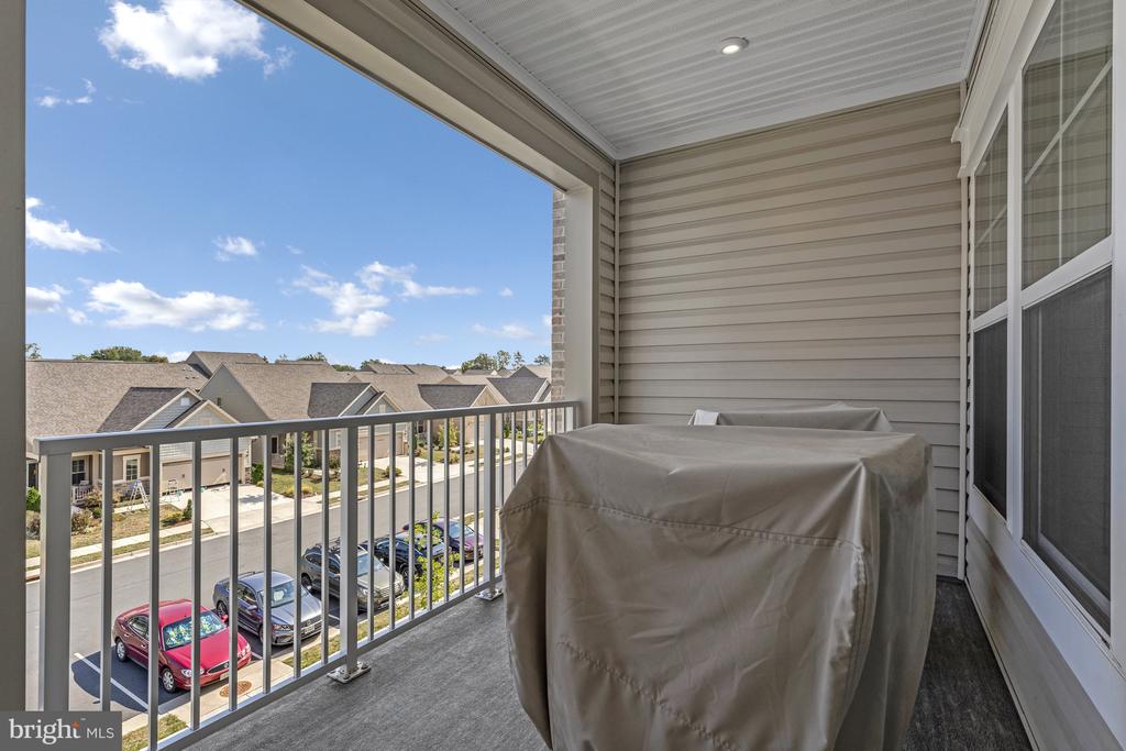 21914 HAWKSBILL HIGH CIRCLE 304