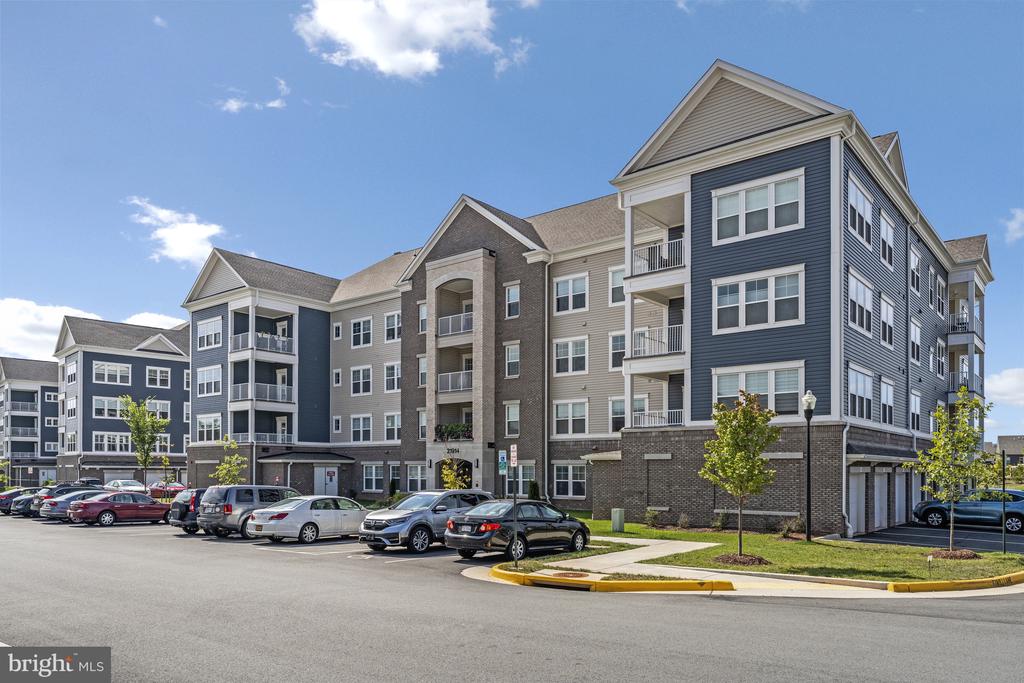 21914 HAWKSBILL HIGH CIRCLE 304