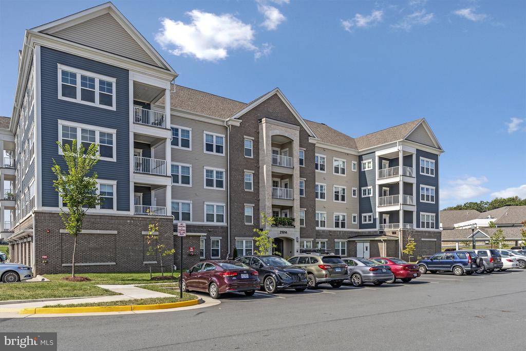 21914 HAWKSBILL HIGH CIRCLE 304