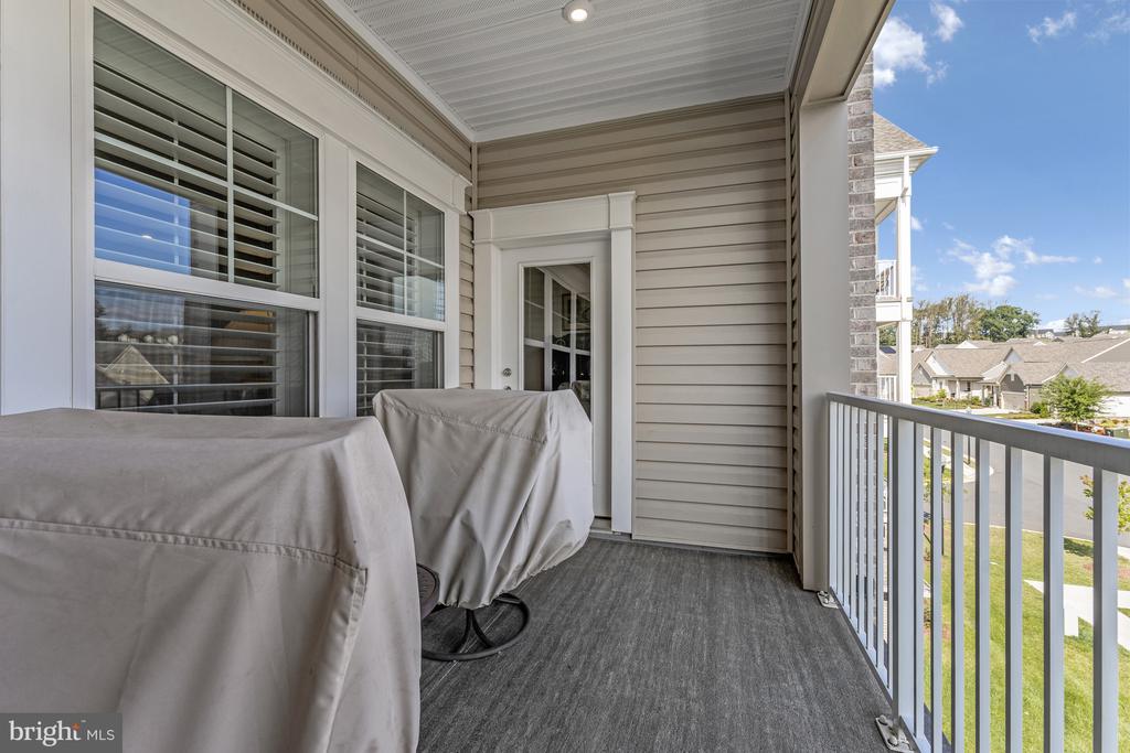 21914 HAWKSBILL HIGH CIRCLE 304
