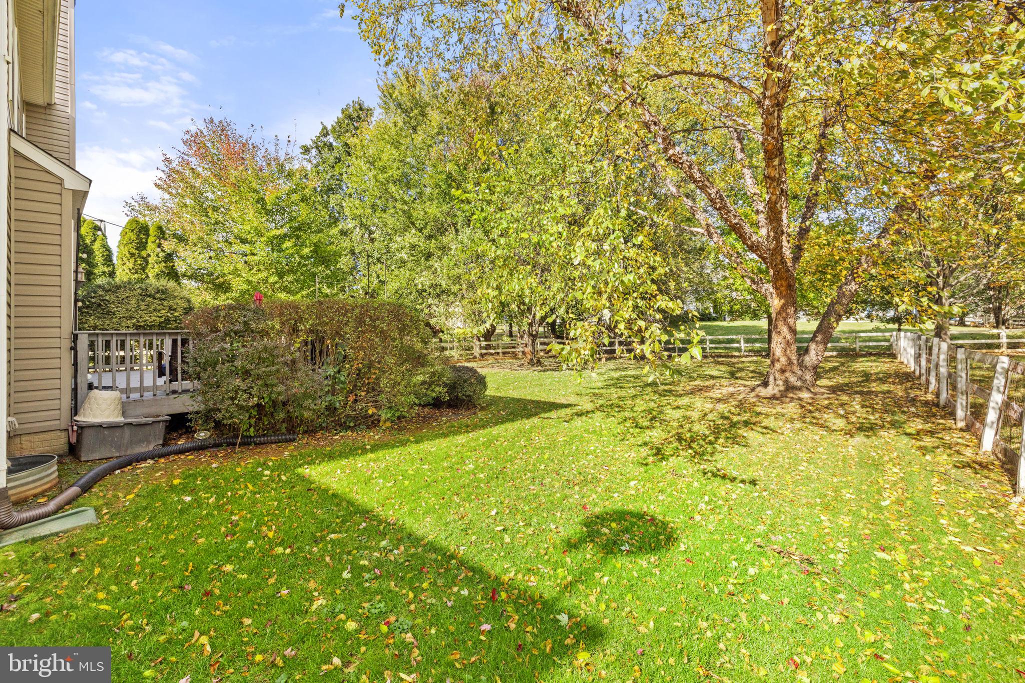 35804 PARK HEIGHTS CIRCLE