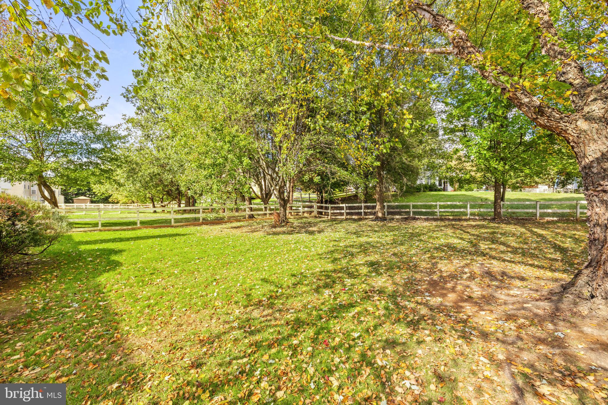 35804 PARK HEIGHTS CIRCLE