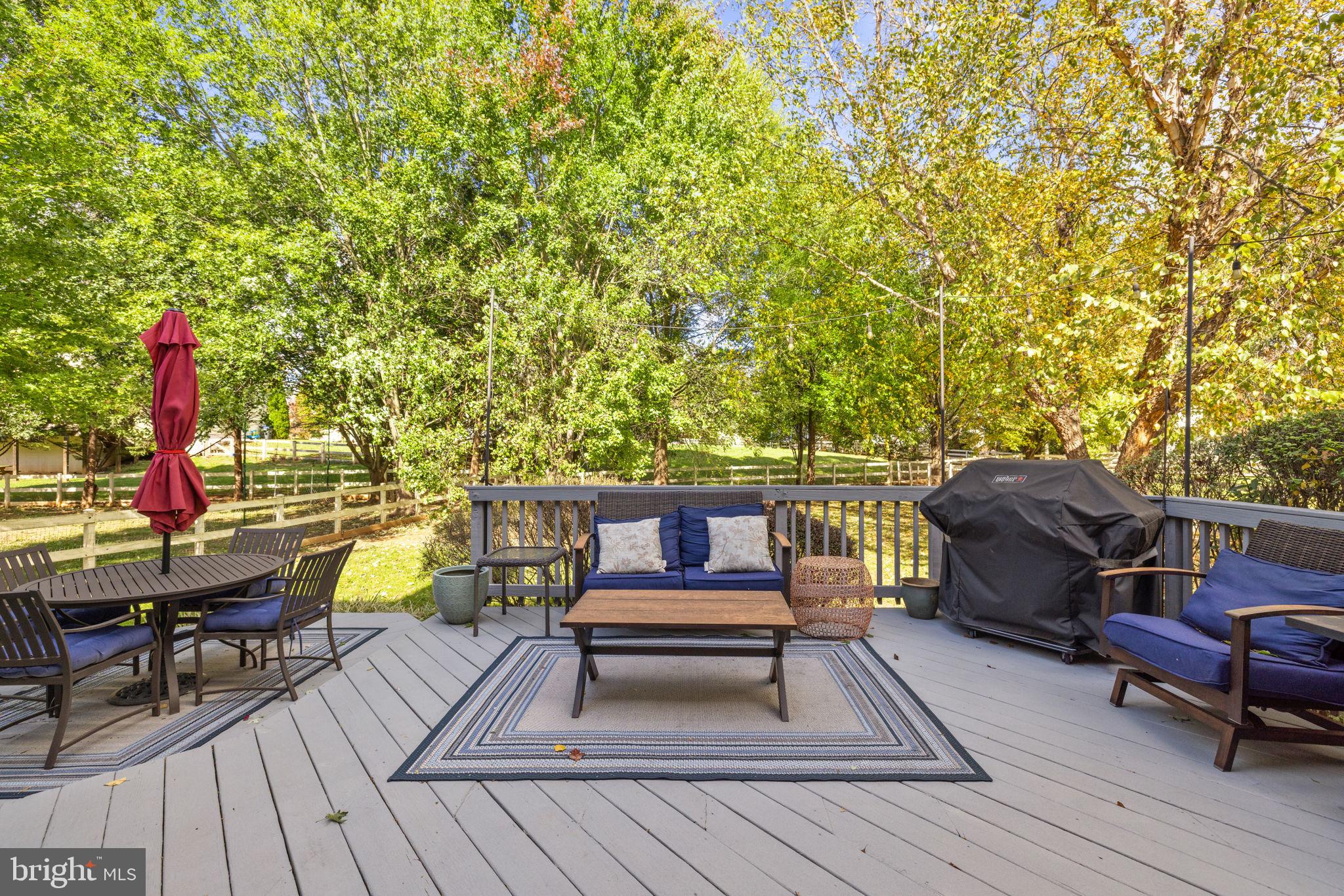 35804 PARK HEIGHTS CIRCLE