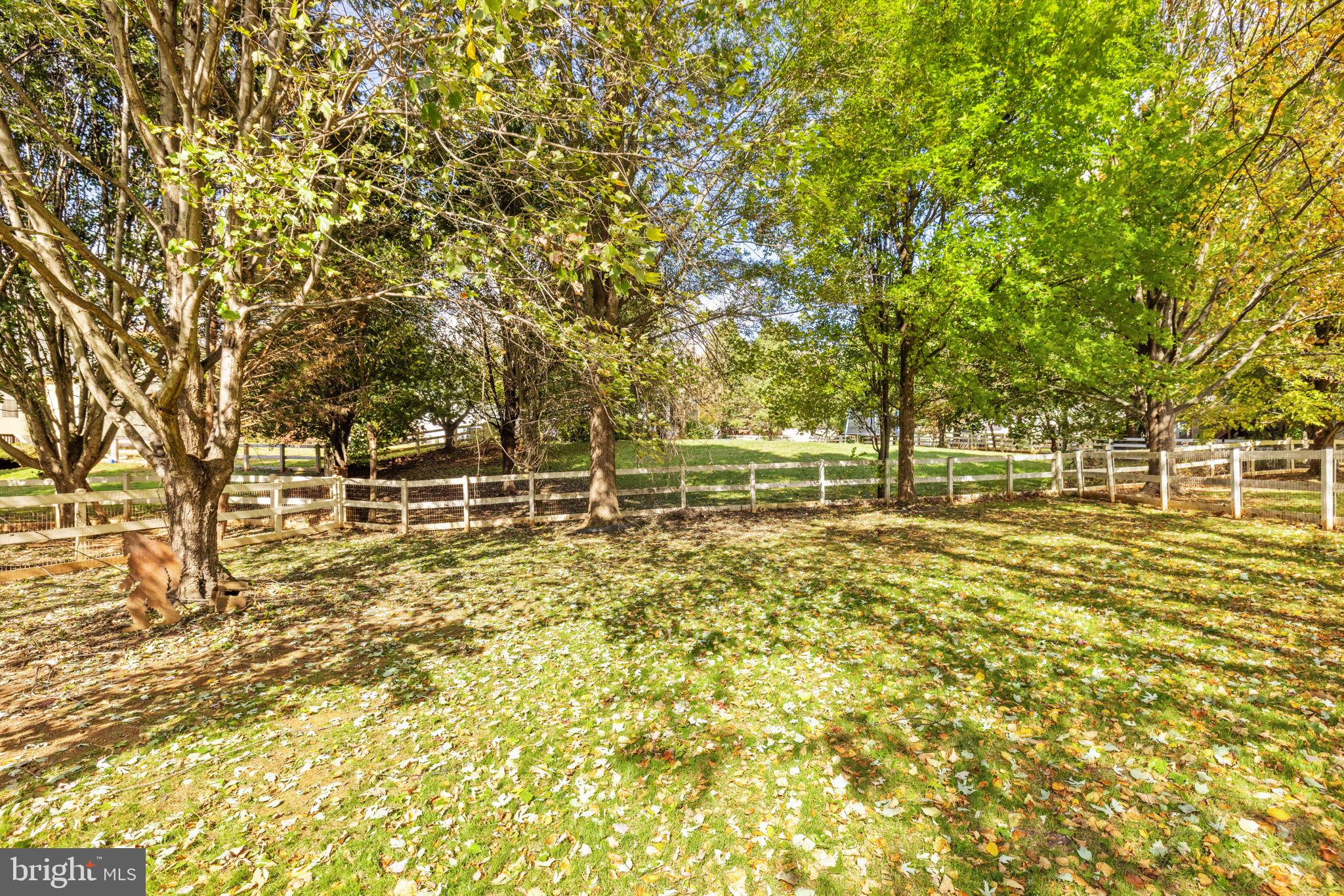 35804 PARK HEIGHTS CIRCLE