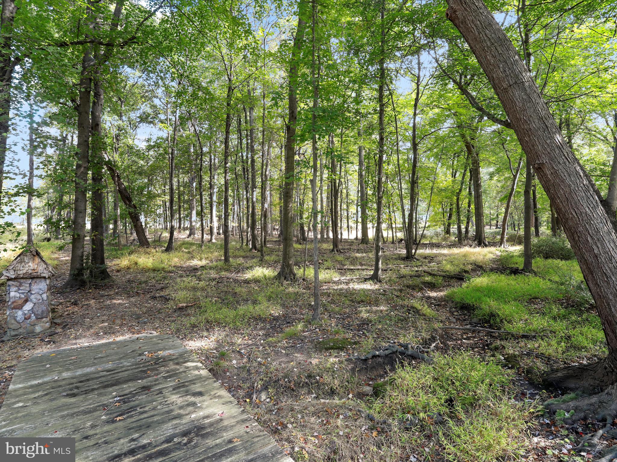 19935 FOGGY BOTTOM ROAD