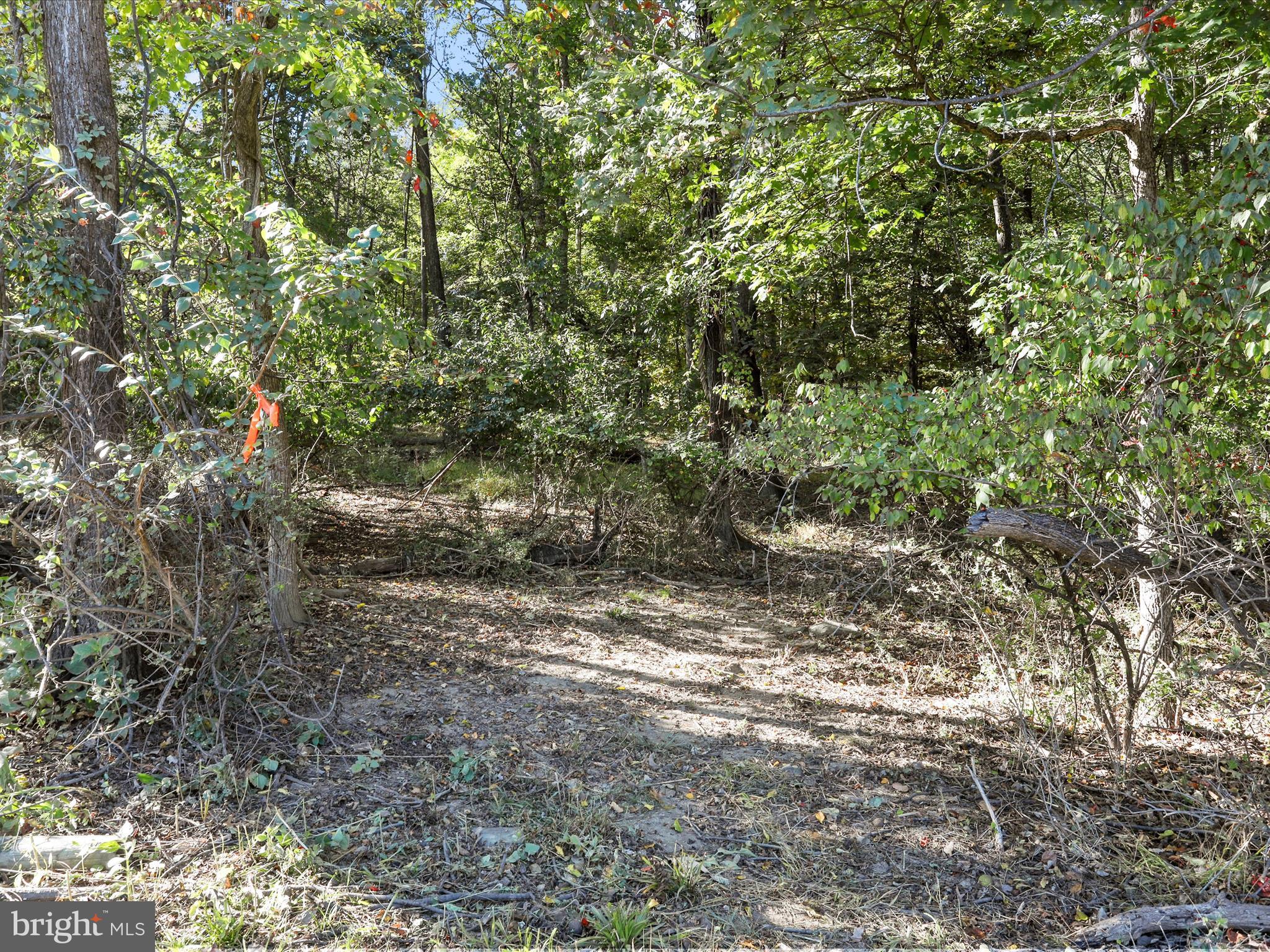 19935 FOGGY BOTTOM ROAD