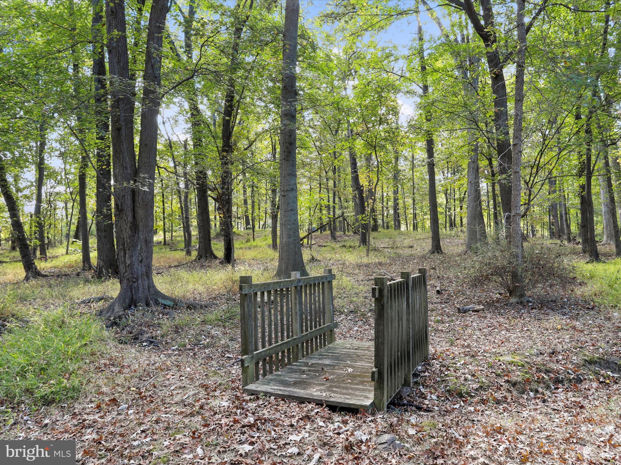 19935 FOGGY BOTTOM ROAD