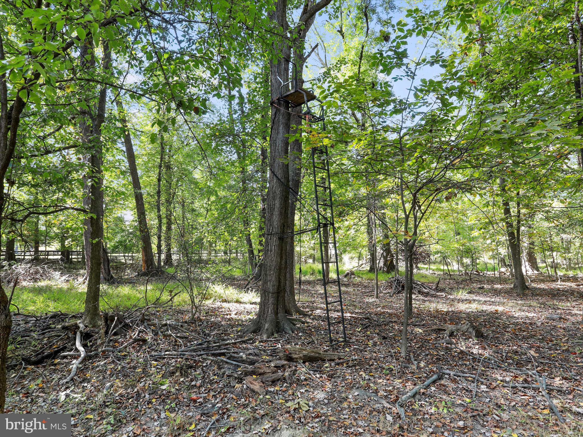 19935 FOGGY BOTTOM ROAD