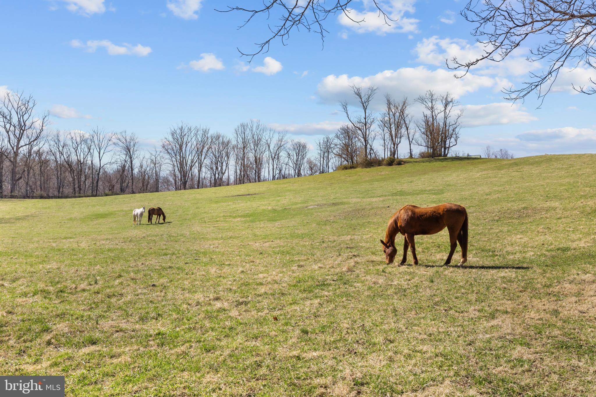 36025 SNICKERSVILLE TURNPIKE