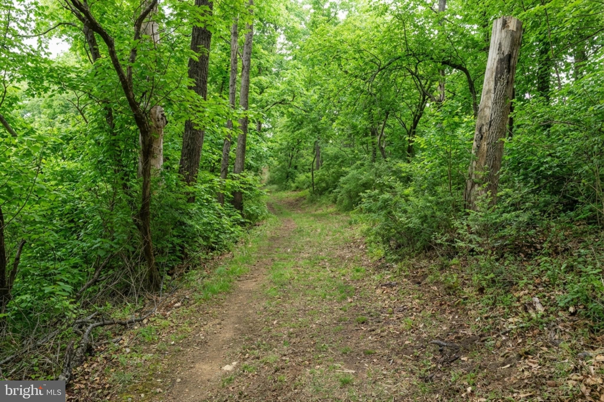 36025 SNICKERSVILLE TURNPIKE