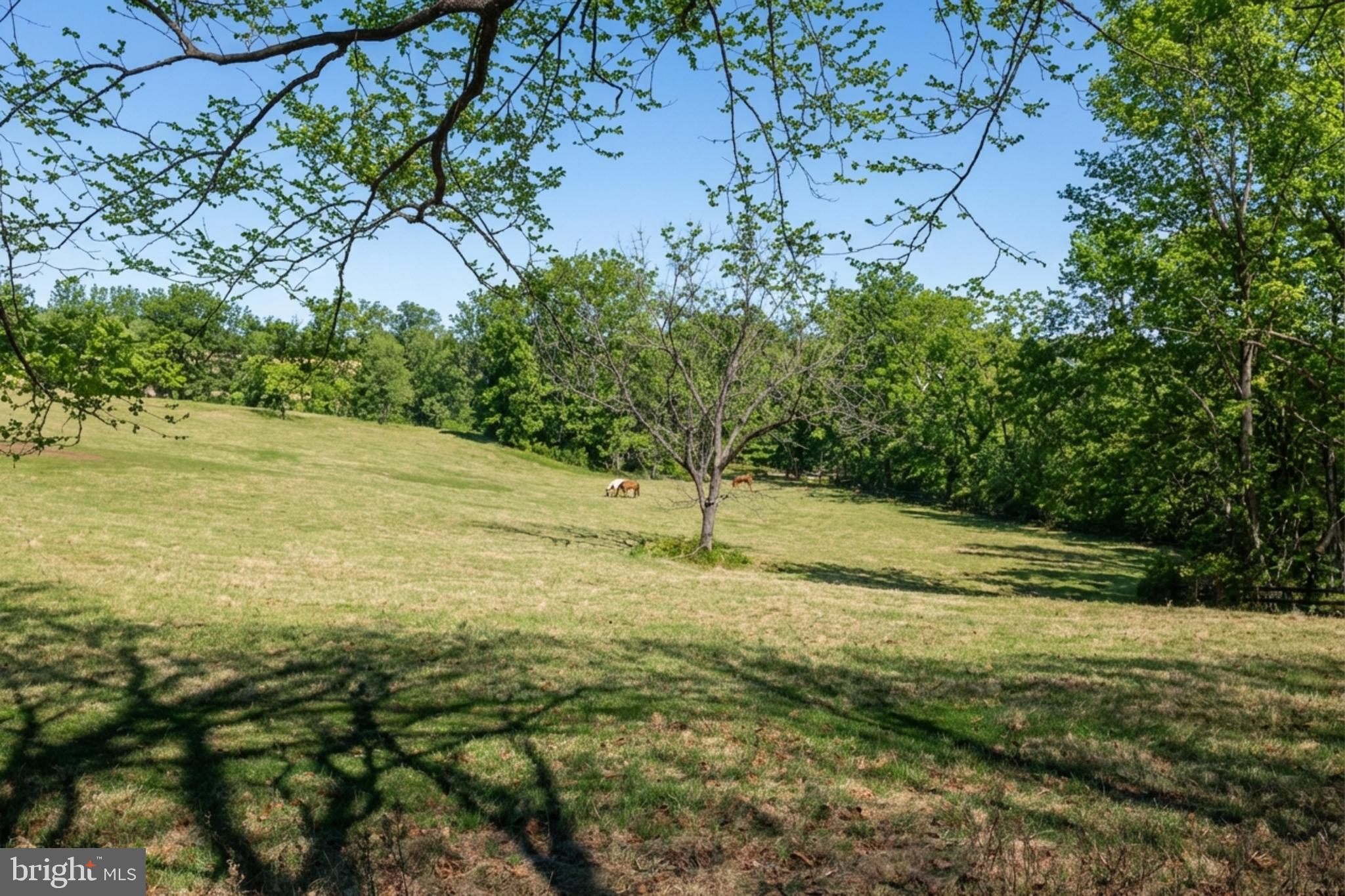 36025 SNICKERSVILLE TURNPIKE