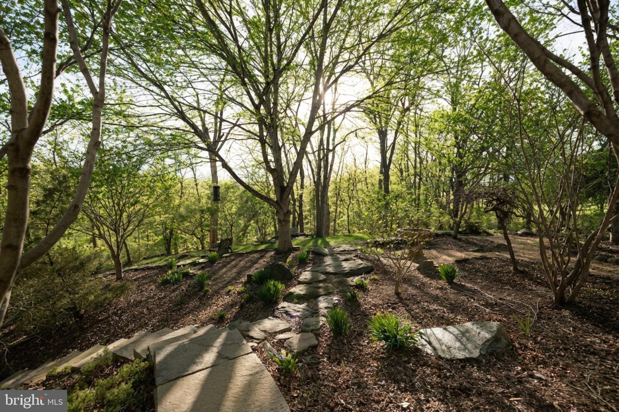 36025 SNICKERSVILLE TURNPIKE