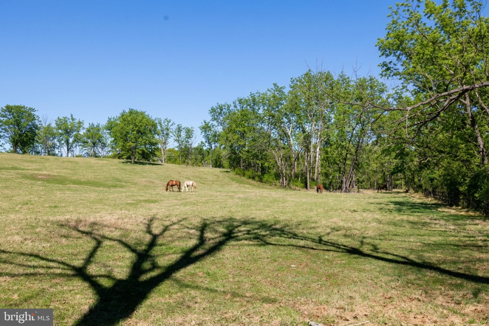 36025 SNICKERSVILLE TURNPIKE