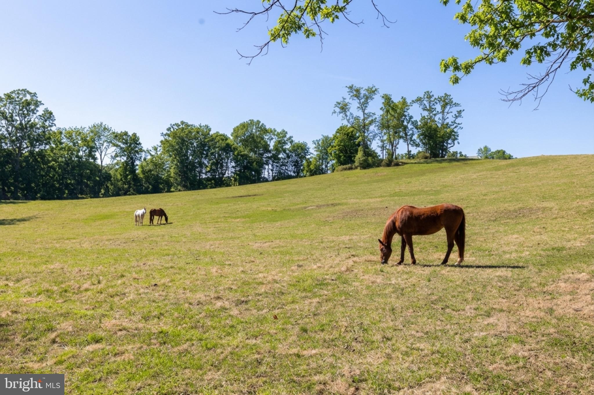 36025 SNICKERSVILLE TURNPIKE