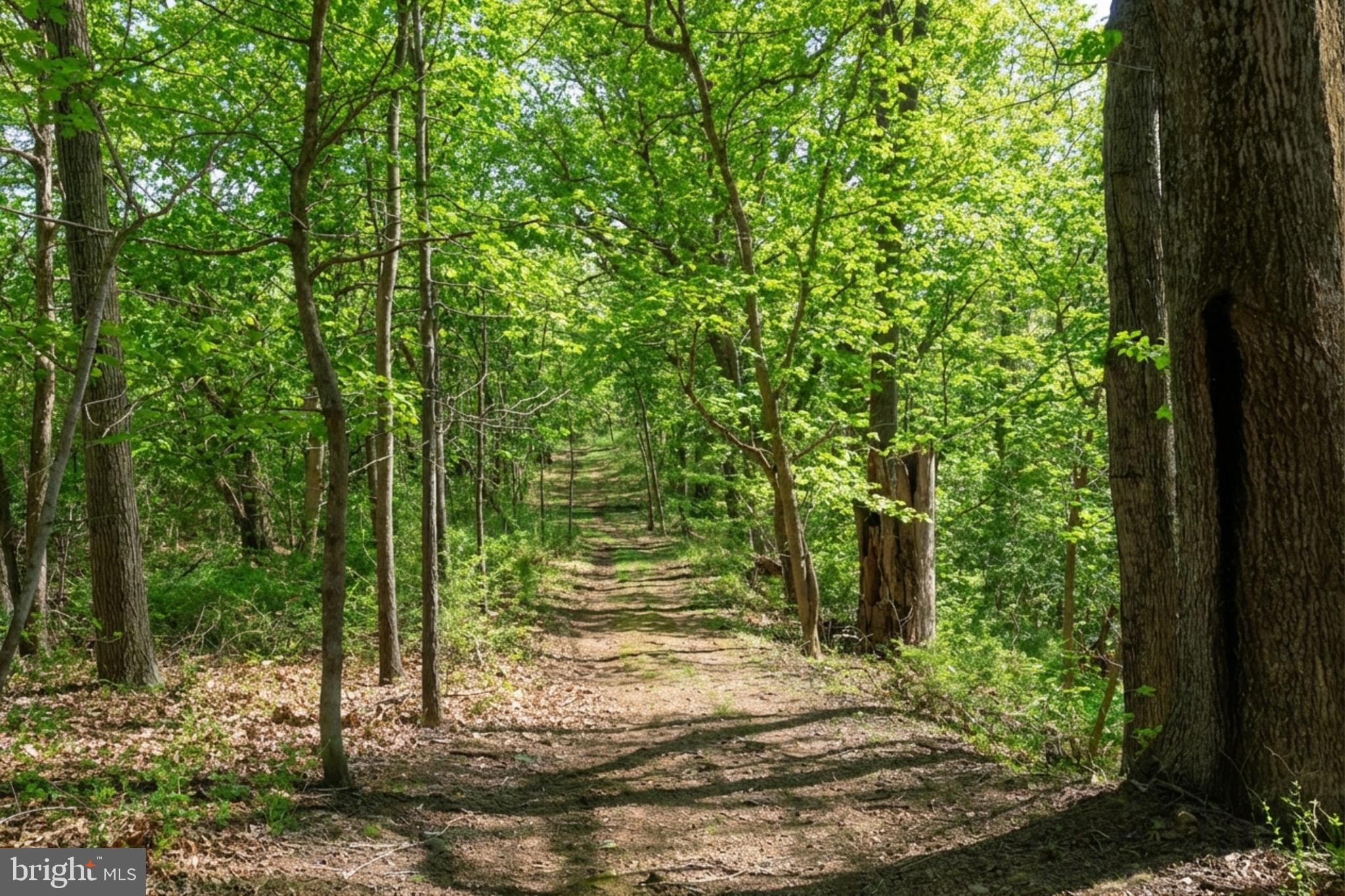 36025 SNICKERSVILLE TURNPIKE