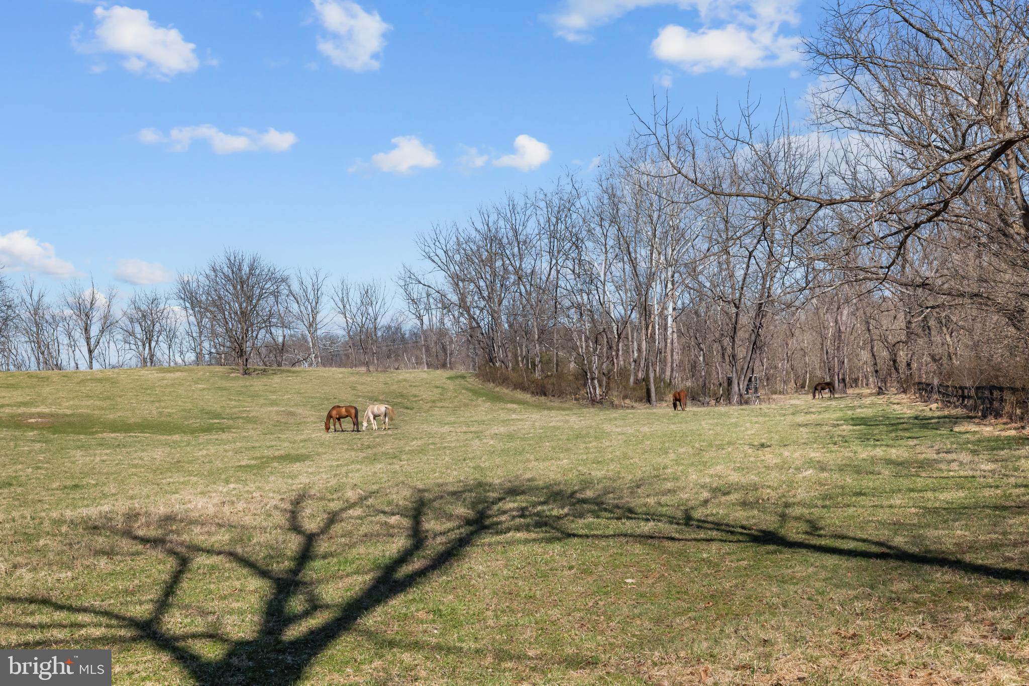 36025 SNICKERSVILLE TURNPIKE