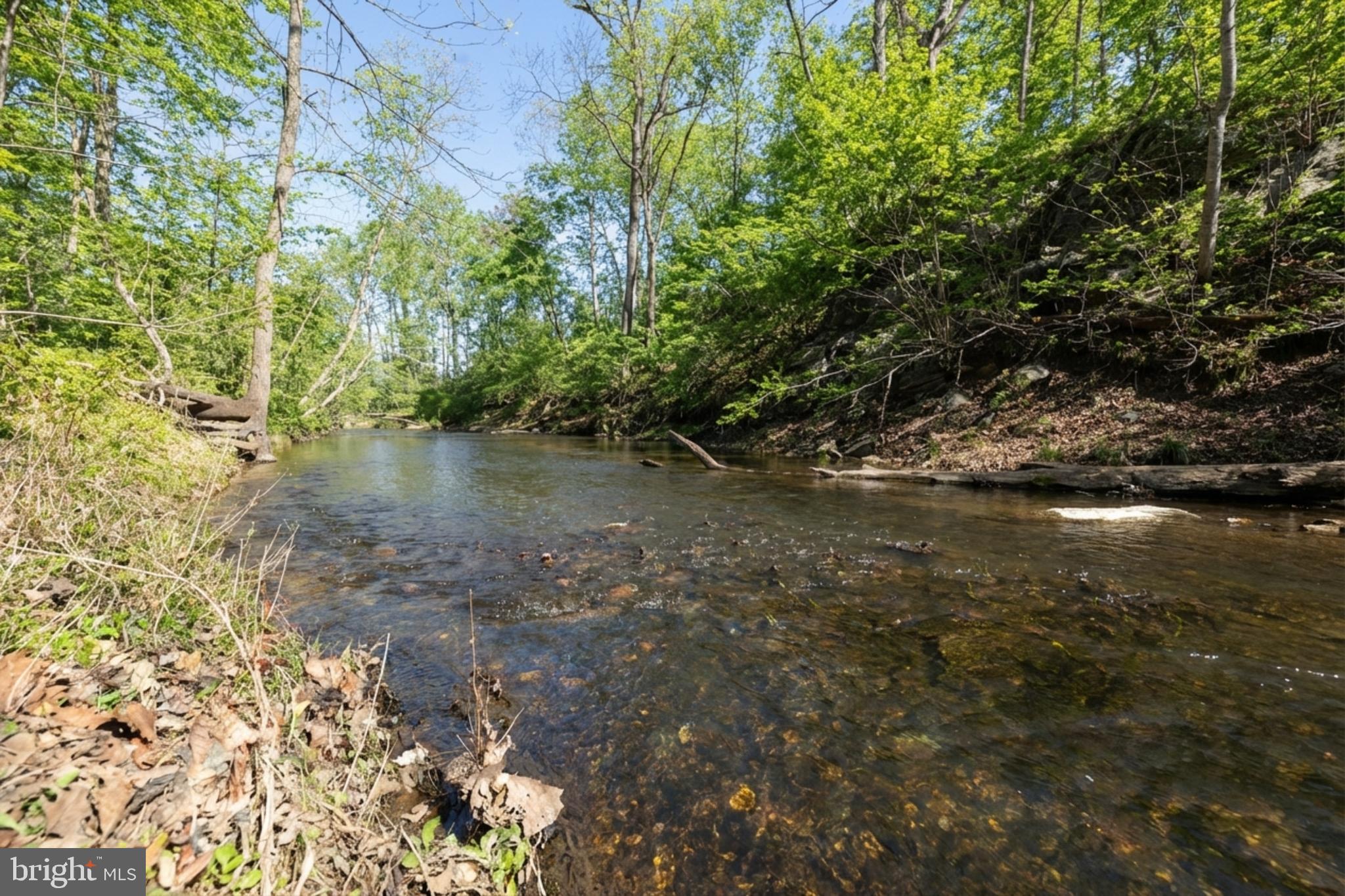 36025 SNICKERSVILLE TURNPIKE