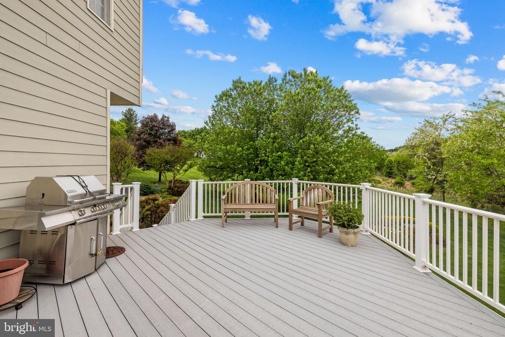 17111 NEEDLES COURT